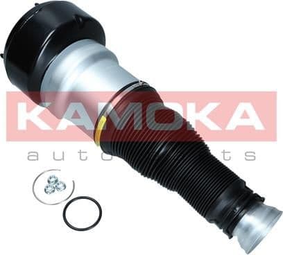 Air Spring, suspension 2079038 - image 2