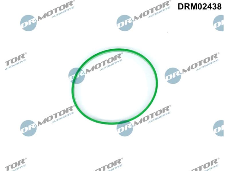 Gasket, throttle body DRM02438