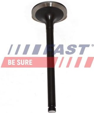 Intake Valve FT50013