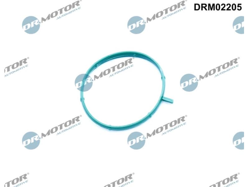 Gasket, thermostat housing DRM02205