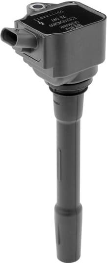 ZS597 (BorgWarner (BERU))