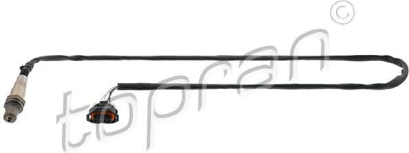 Oxygen Sensor 207 430