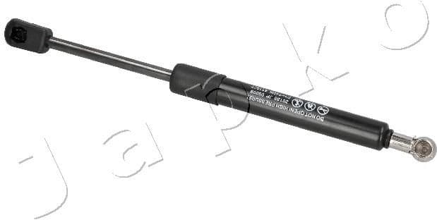 Gas Spring, boot/cargo area ZSJ09009