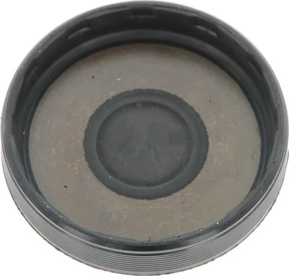 Plug, mounting bore 21653091