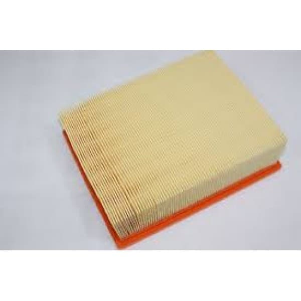 Filter air CAF100701P