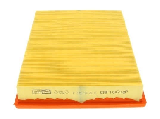 Filter air CAF100718P