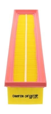 Filter air CAF100739P