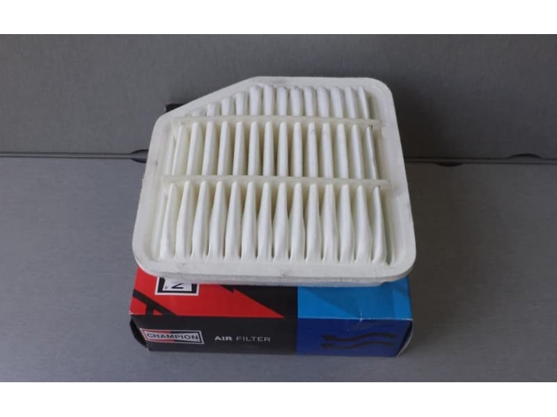 Filter air CAF100874P