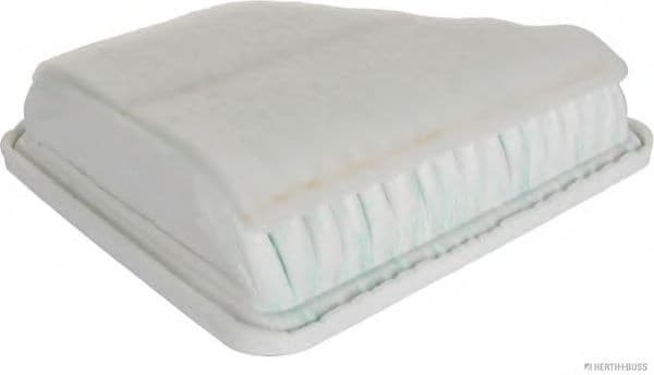 Filter air CAF100877P