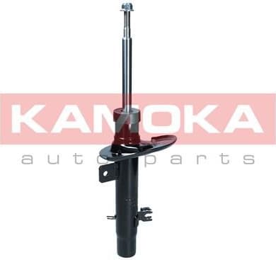 Shock Absorber 2000184