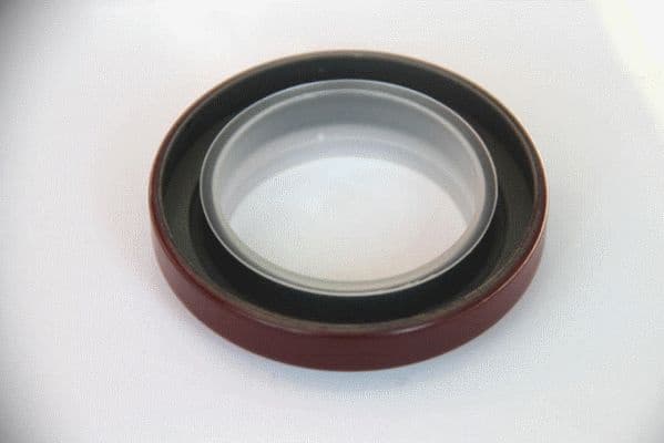 Seal Ring 49360241