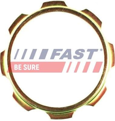 Packing Plate, drive shaft flange FT26040