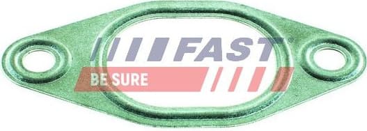 Gasket, exhaust manifold FT49428