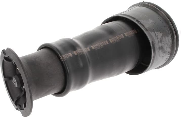 Air Spring, suspension 49430544 - image 2