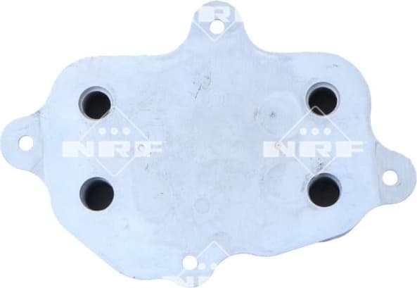 Oil Cooler, engine oil 31866