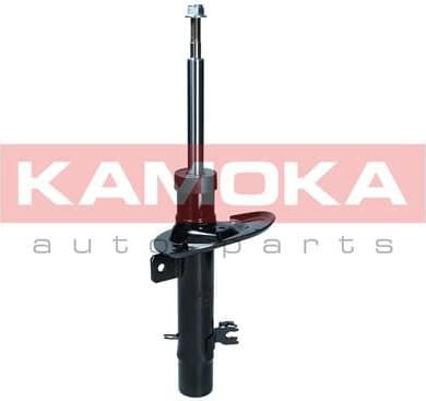 Shock Absorber 2000579