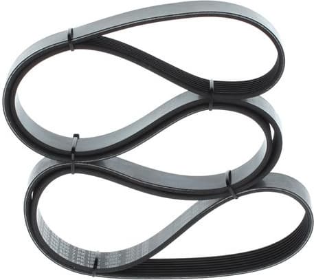 V-ribbed Belt 1 987 946 850