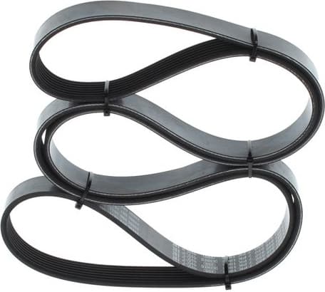 V-ribbed Belt 1 987 946 850 - image 3