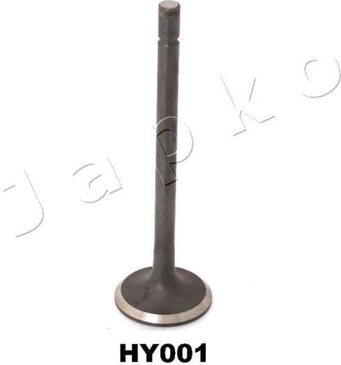 Exhaust Valve 5HY001