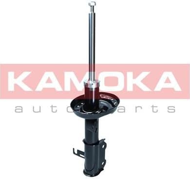 Shock Absorber 2000562