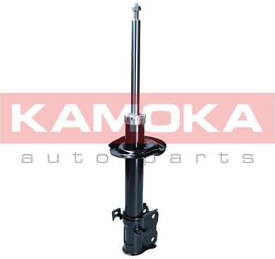 Shock Absorber 2000172