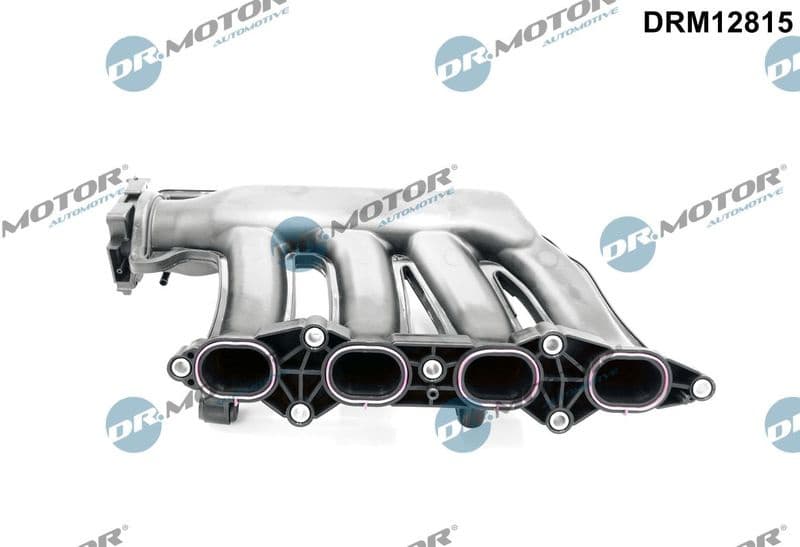 Intake Manifold Module DRM12815