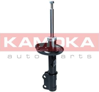Shock Absorber 2000161
