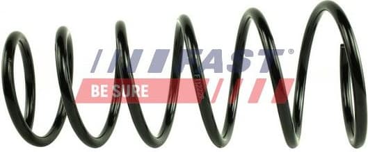 Suspension Spring FT12229