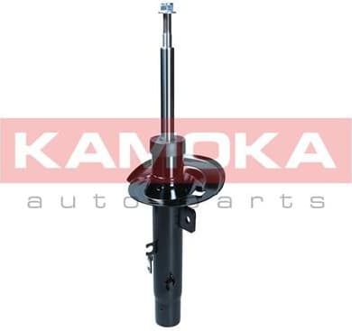 Shock Absorber 2000585