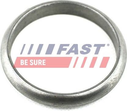 Seal Ring, exhaust pipe FT84574