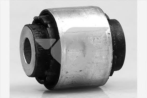 Mounting, control/trailing arm 590219