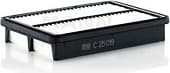 Air Filter C25019