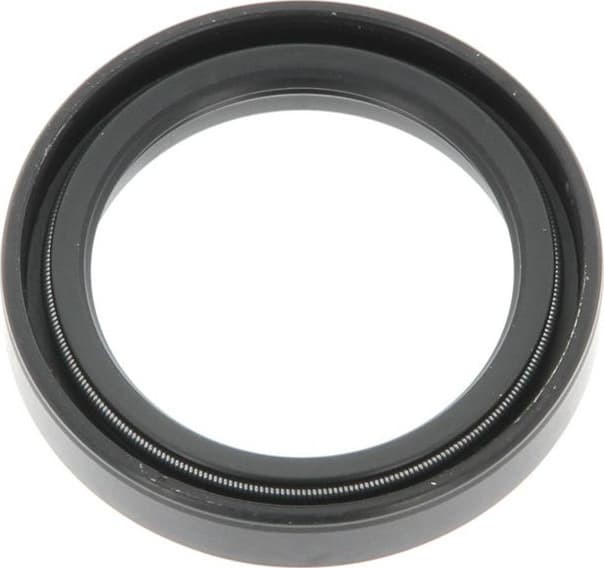 Seal Ring 01015867B - image 3