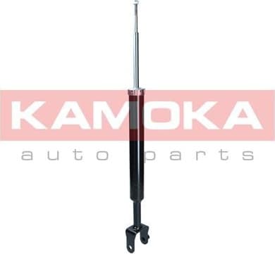 Shock Absorber 2000097