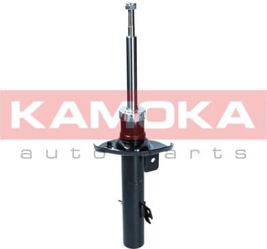 Shock Absorber 2001282
