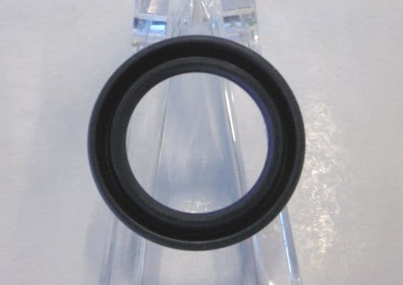 Seal Ring 12001989B