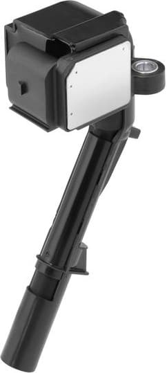 ZSE242 (BorgWarner (BERU))