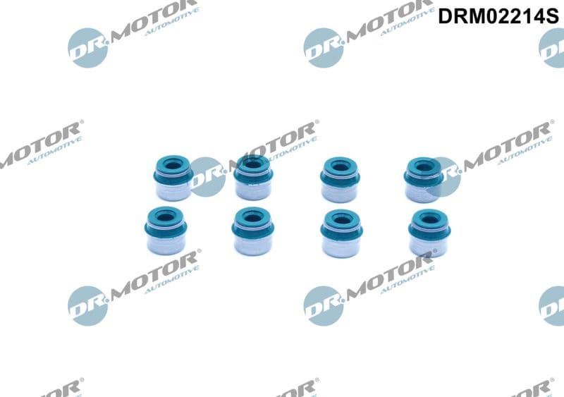 Seal Ring, valve stem DRM02214S
