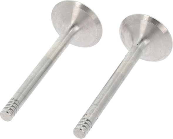 Intake Valve 550839B - image 2