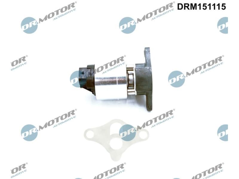 EGR Valve DRM151115