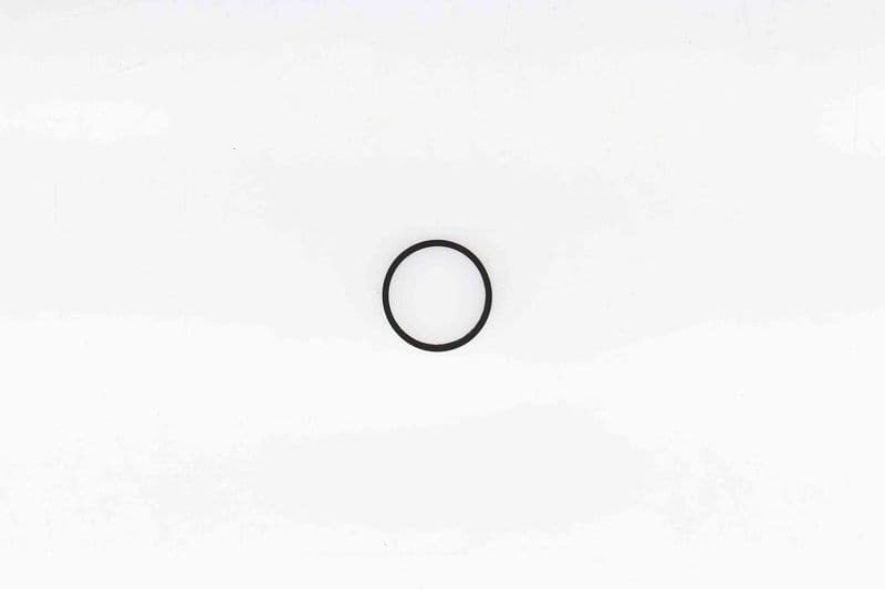 Seal, thermostat 023178H