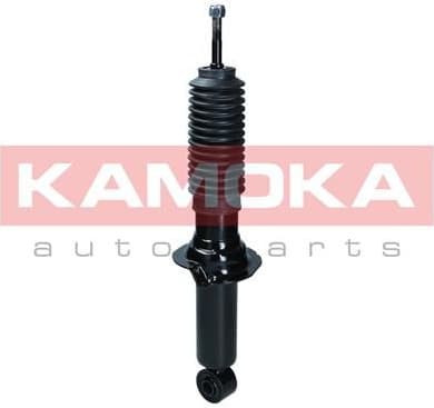 Shock Absorber 2001283