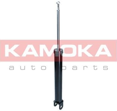 Shock Absorber 2000939