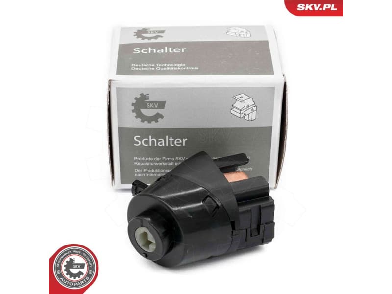 Ignition Switch 65SKV007