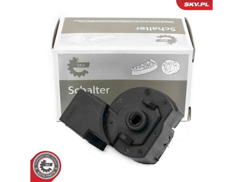 Ignition Switch 65SKV021