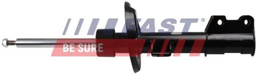 Shock Absorber FT11289