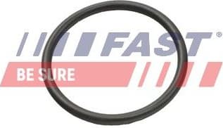 Seal Ring, charge air hose FT49935 - image 2