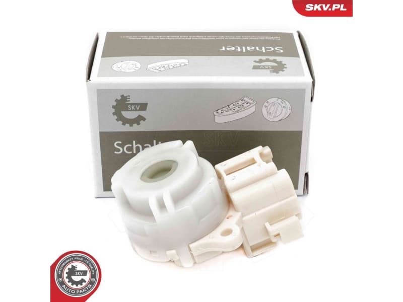 Ignition Switch 65SKV005