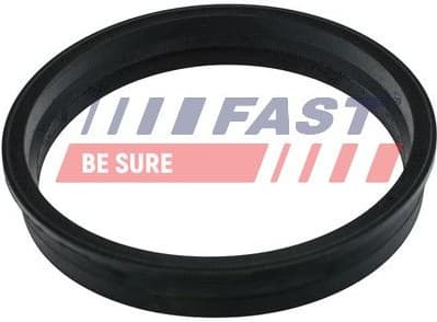 Seal, fuel tank FT48505