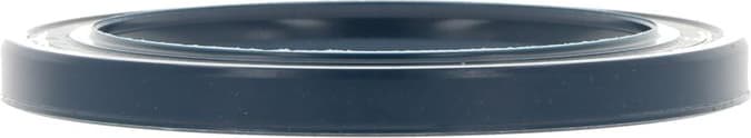 Seal Ring 12001709B - image 4